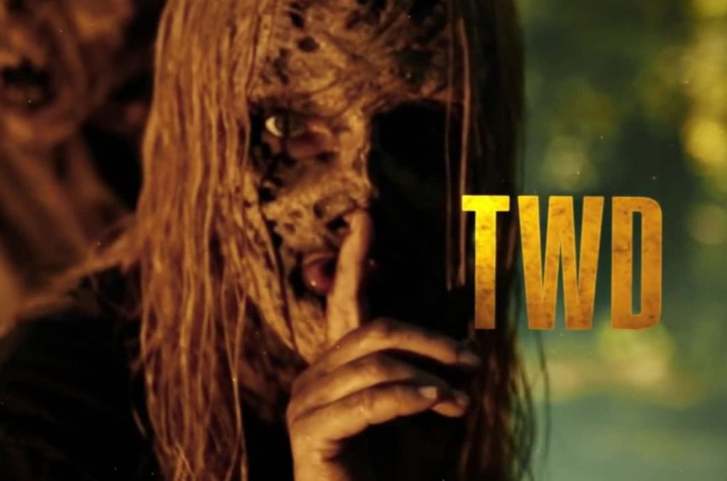 A still from The Walking Dead season 10 teaser