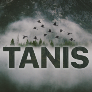 Tanis season two