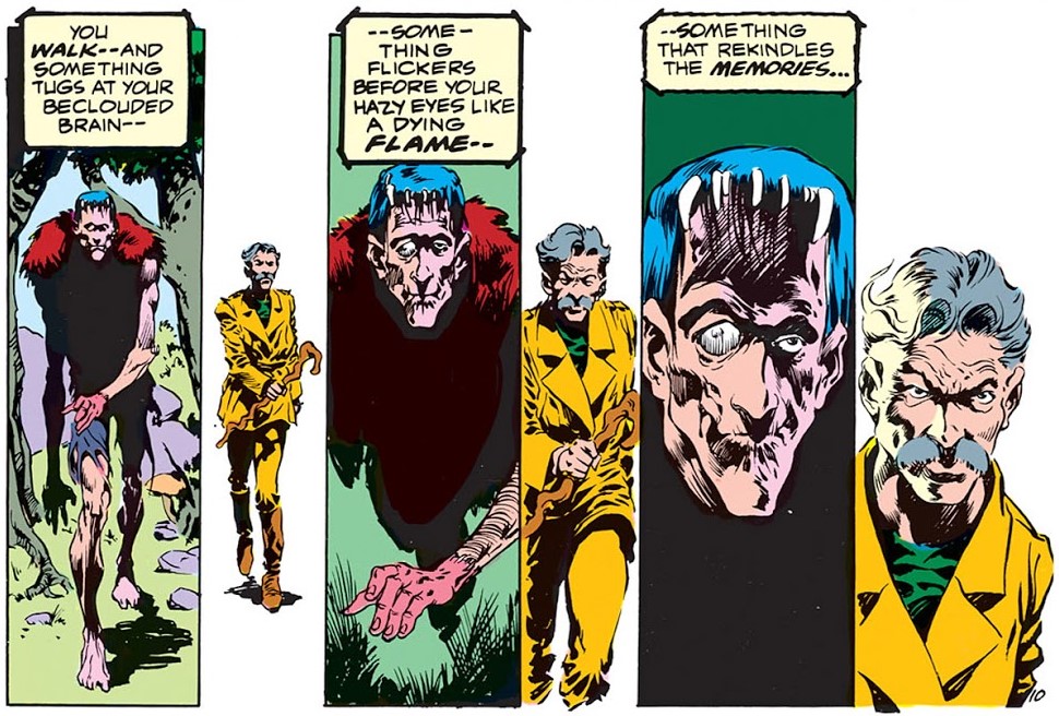 Panels from Swamp Thing Vol. 1 #3 from DC Comics