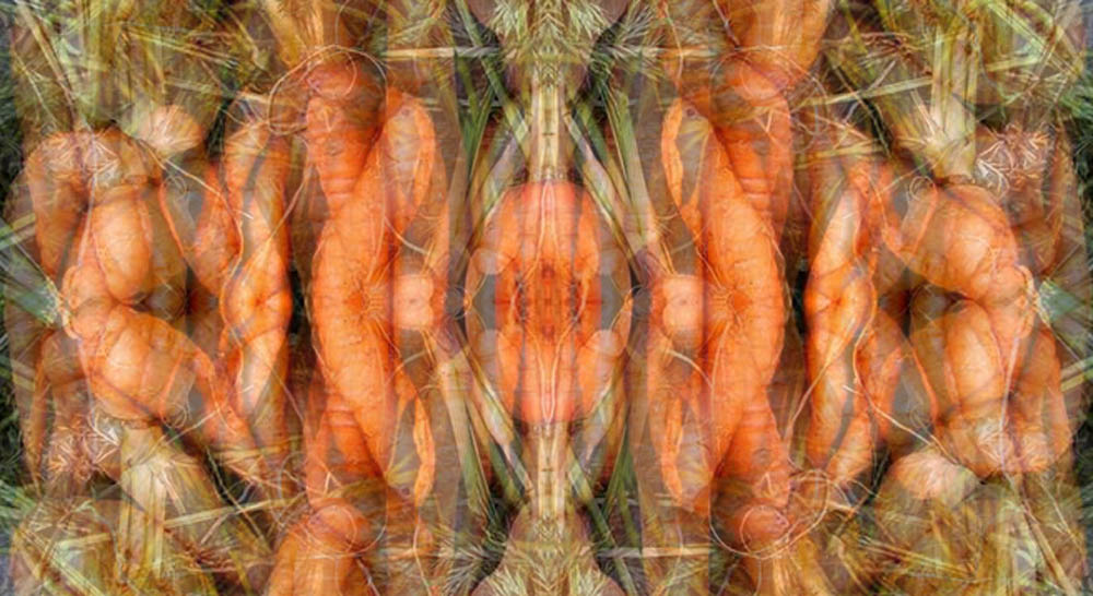 Carrot Orgy 1