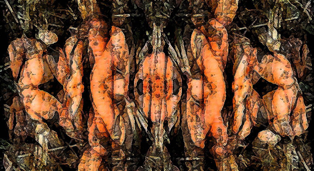 Carrot Orgy 2