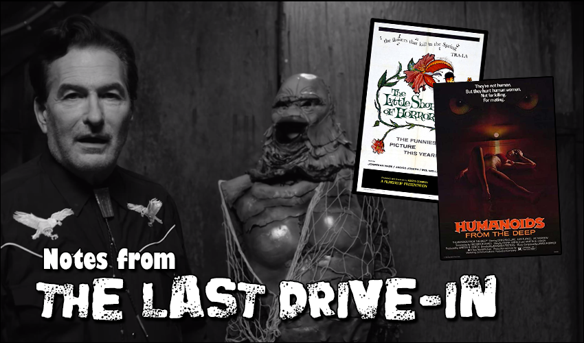 Literature The Novel and The Screenplay Archives - The Last Drive In