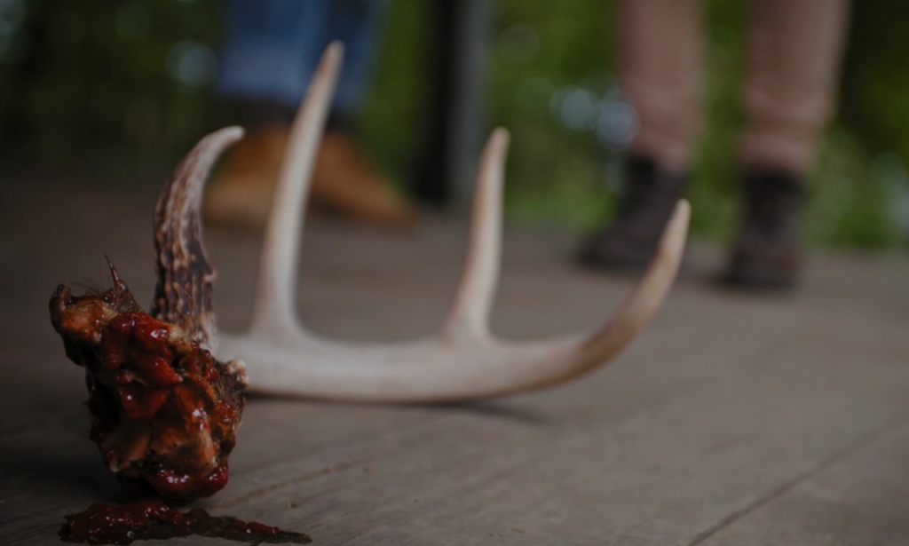 Web of Darkness picture showing an antler that was broken off of a creature. The antler is on the porch with some blood near it.