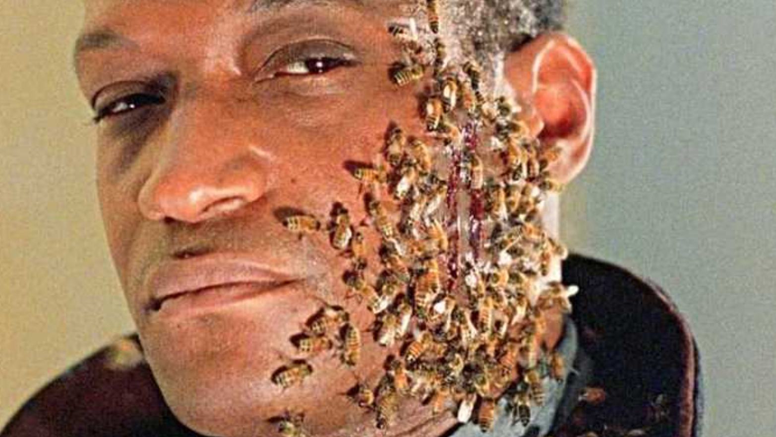A man's face half way covered in bees - the Candyman