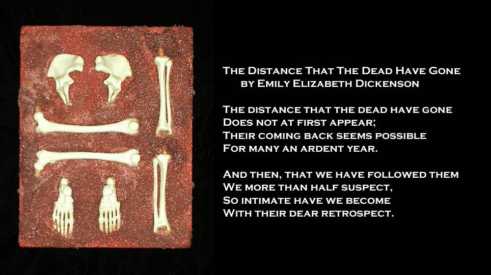 The Distance That The Dead Have Gone
	by Emily Elizabeth Dickenson

The distance that the dead have gone
Does not at first appear;
Their coming back seems possible
For many an ardent year.

And then, that we have followed them
We more than half suspect,
So intimate have we become
With their dear retrospect.