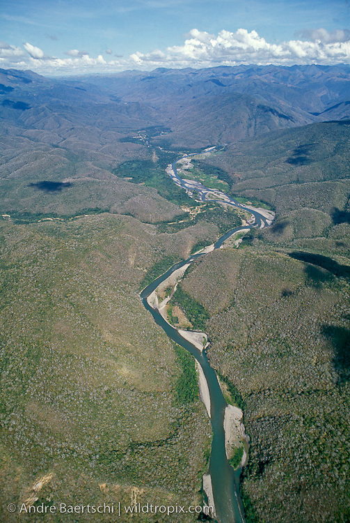 An aerial view of a green river