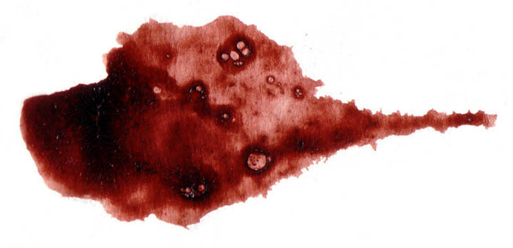 blood on watercolor paper in a large blotch, body monoprint by Jennifer Weigel