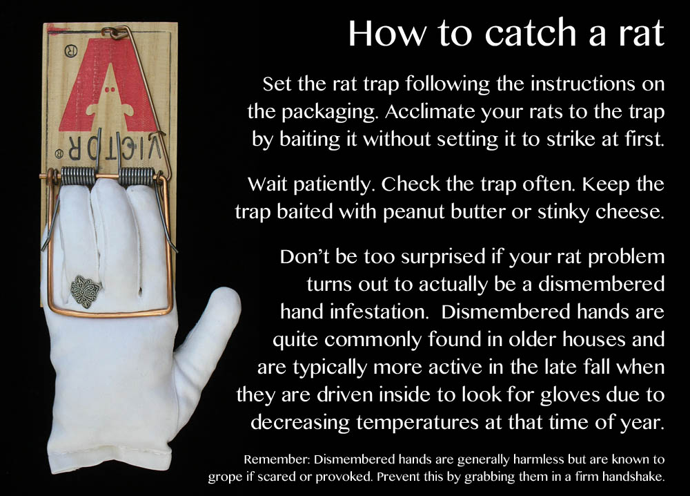 How to catch a rat instructions to help distinguish between rat and dismembered hand infestations