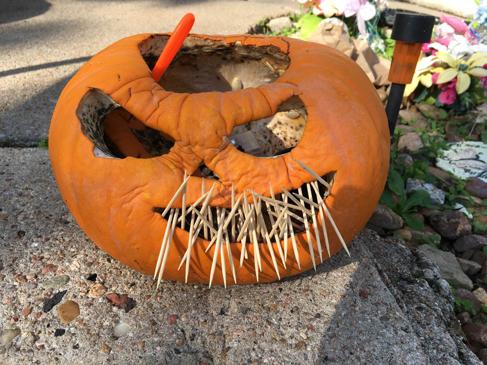 rotting pumpkin head with rows upon rows of toothpick teeth