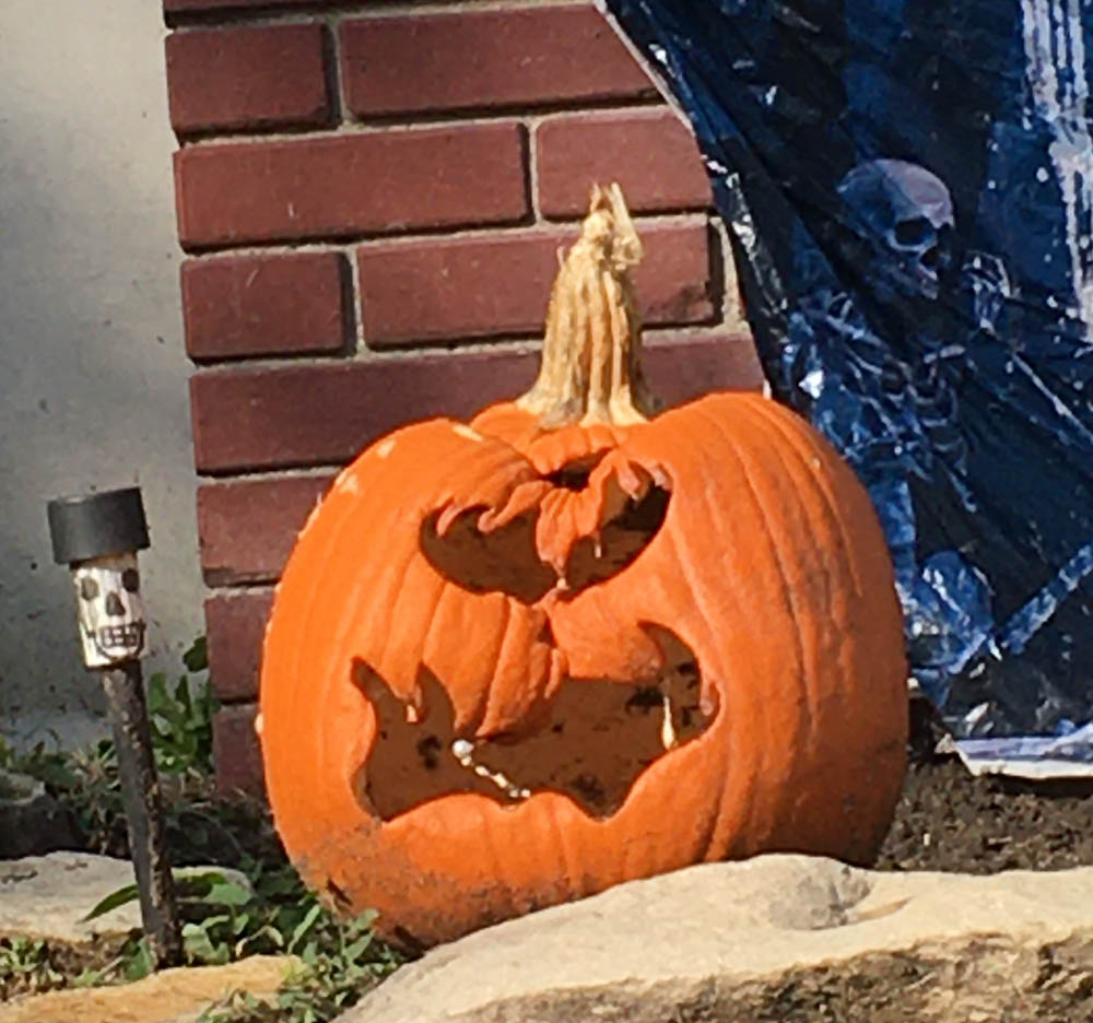 rotting pumpkin head caving in on itself