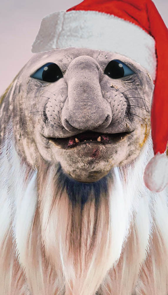 Holiday horror: The Jolly Old Soul image of terrifying yet cute Santa Claus with full beard, bright blue eyes and traditional red fur trimmed hat