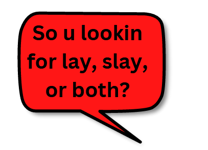 text message that reads: so you looking for a lay, slay, or both?