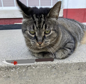 absolutely not a picture of jellbeans with a bloody knife