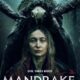 Mandrake Cover Art: A mandrake behind an unsuspecting woman