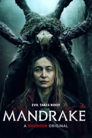 Mandrake Cover Art: A mandrake behind an unsuspecting woman