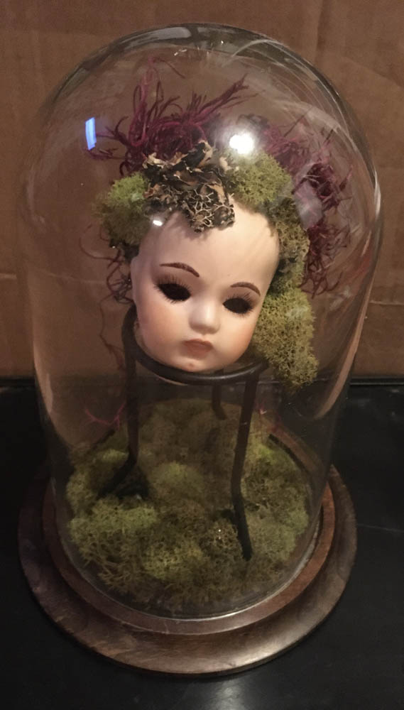 Broken Doll Head, secured in her own glass case with new moss accents