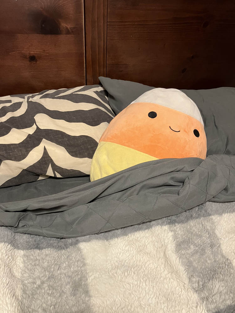 Cannon the Candy Corn Squishmallow all tucked in and waiting for Dream Subscription Service