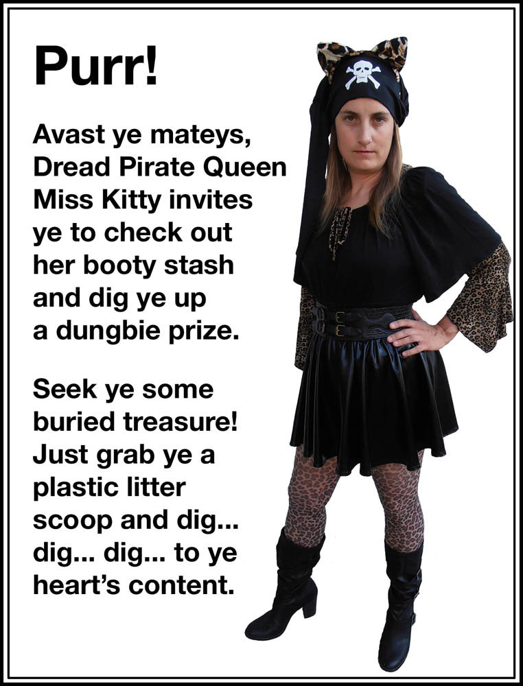 Promotional Poster for Dread Pirate Queen Miss Kitty performance art by Jennifer Weigel