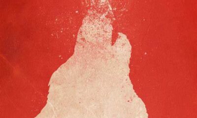 Red background, a wolf made in snow, on its snout is a man walking toward it