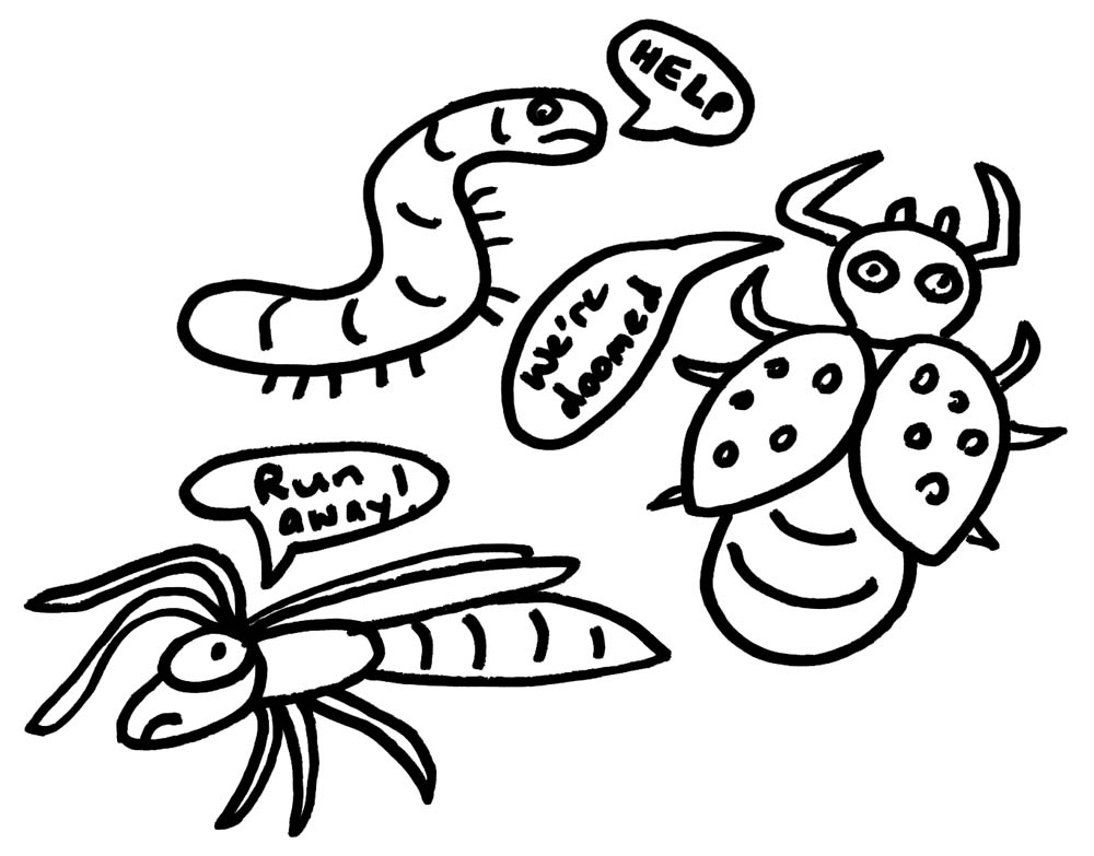 Drawing of caterpillar, wasp and beetle with text bubbles "HELP" "We're doomed" and "Run away!"