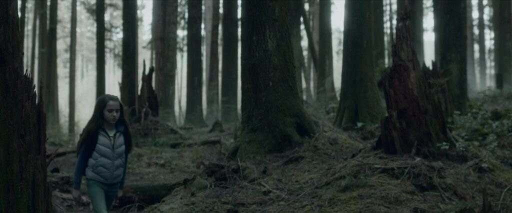 Girl walking alone in the forest