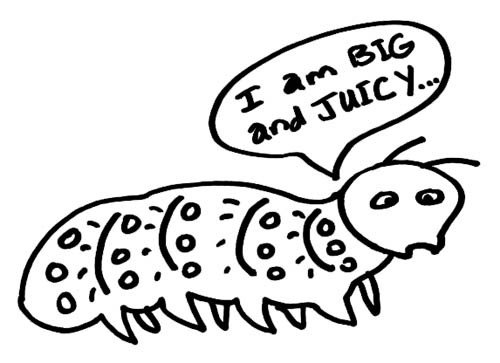 Caterpillar says, "I am BIG and JUICY"