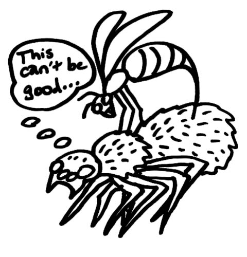 Wasp stinging spider with thought bubble "This can't be good..."