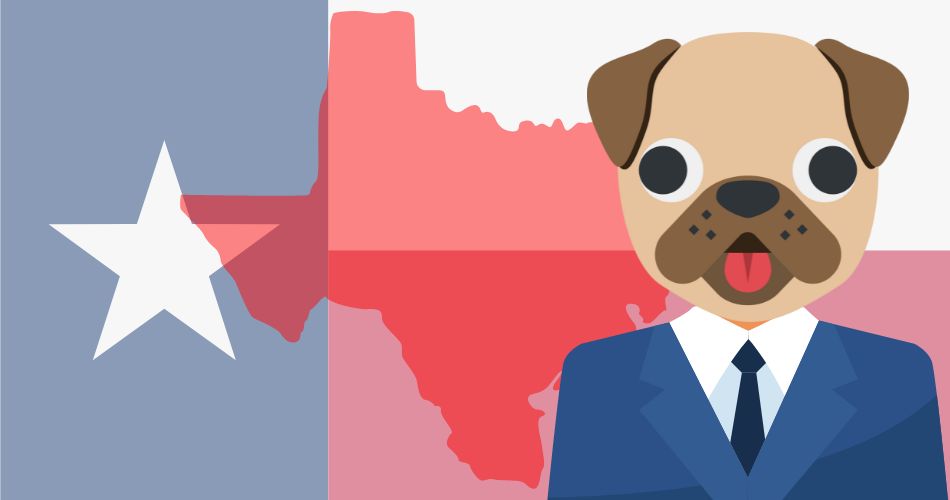 a pug-headed man with the Texan flag in the background