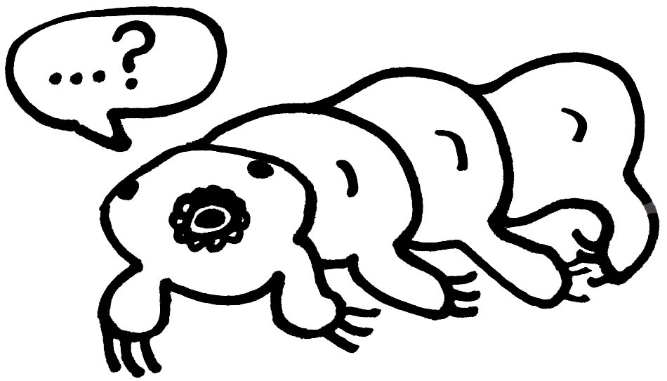 Confused tardigrade wondering why they appeared on Nightmarish Nature, drawing by Jennifer Weigel