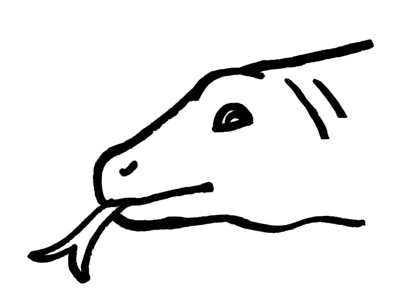 Tongue-tied Komodo Dragon drawing by Jennifer Weigel