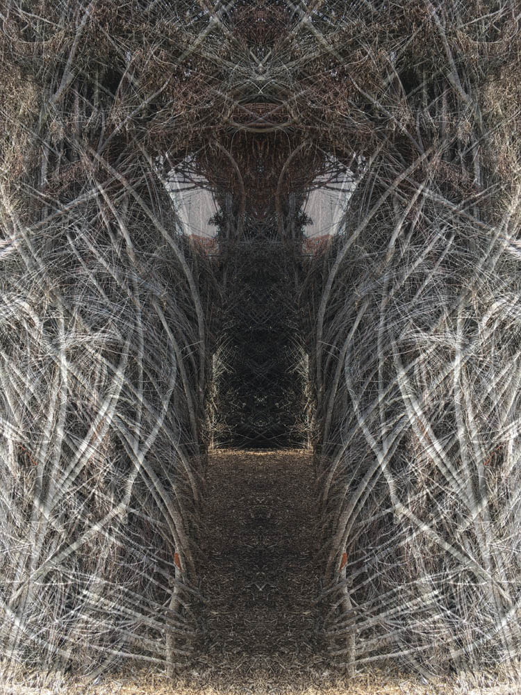 Into the Faewild bush bewilderment digital artwork by Jennifer Weigel, based on a sculpture by Patrick Dougherty.