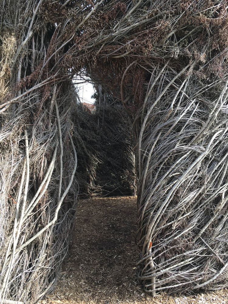 Photograph from within Patrick Dougherty sculpture; base for Into the Faewild bush bewilderment digital artwork by Jennifer Weigel