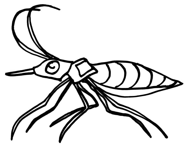 Assassin Bug drawing by Jennifer Weigel