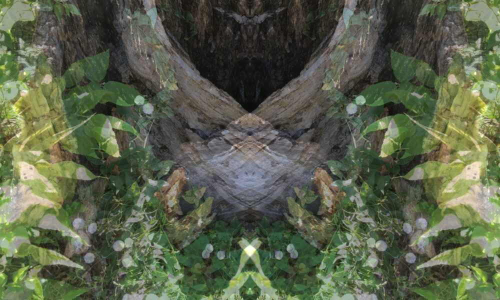 Faerie Glen digitally altered photo from Jennifer Weigel's Reversals series