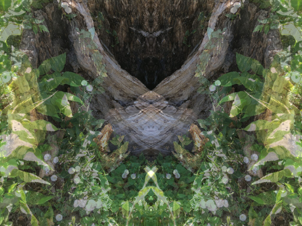 Faerie Glen digitally altered photo from Jennifer Weigel's Reversals series