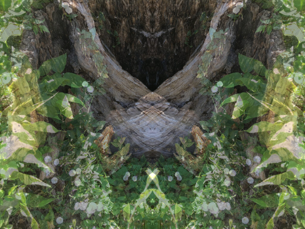 Faerie Glen digitally altered photo from Jennifer Weigel's Reversals series