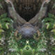 Faerie Glen digitally altered photo from Jennifer Weigel's Reversals series