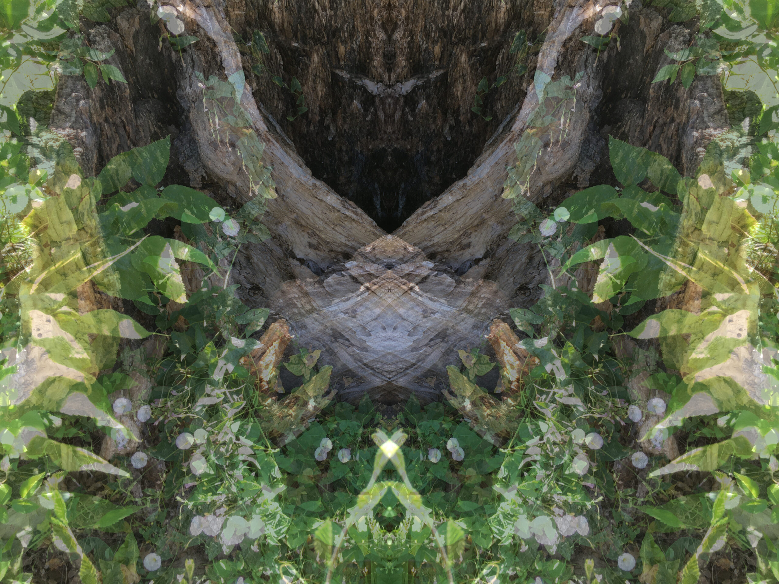 Faerie Glen digitally altered photo from Jennifer Weigel's Reversals series