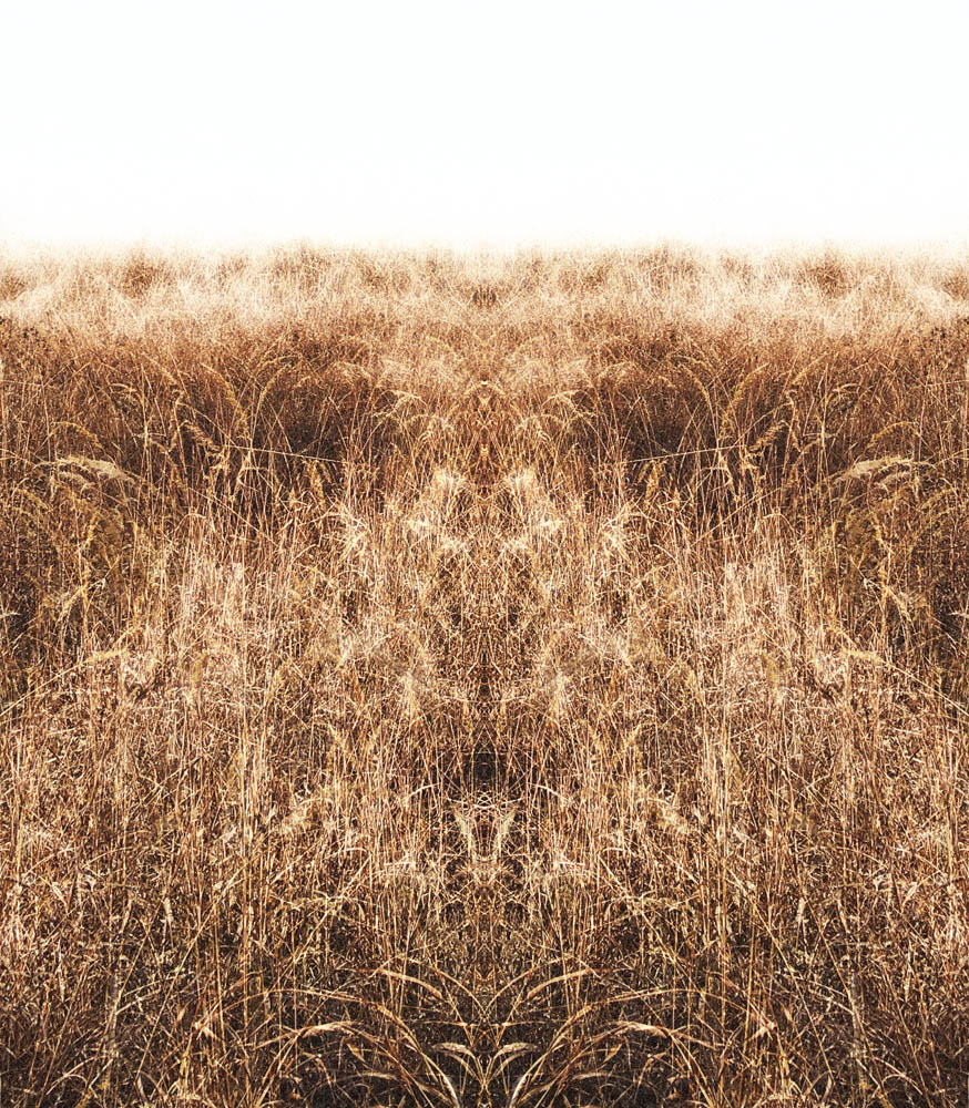 Christina's World Lost digitally manipulated photograph of a field of grass by Jennifer Weigel from her Reversals series