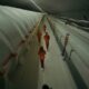 A group of people in orange jumpsuits riding electric scooters. They follow down a pathway beside a strange white tunnel